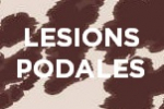 Lesions podales, session d’harmonisation