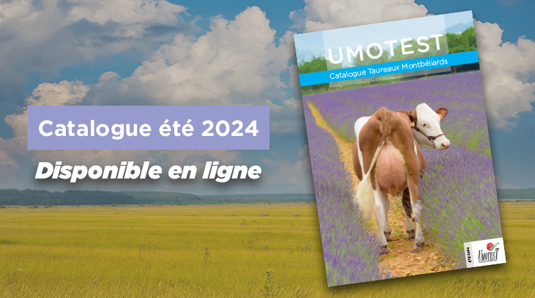 Catalogue été 2024