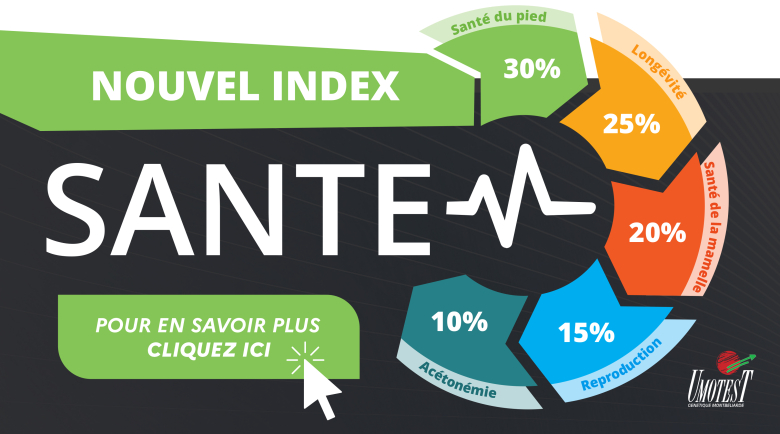 index Sante