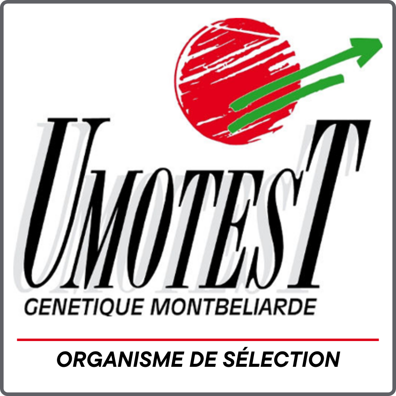 logo OS Umotest