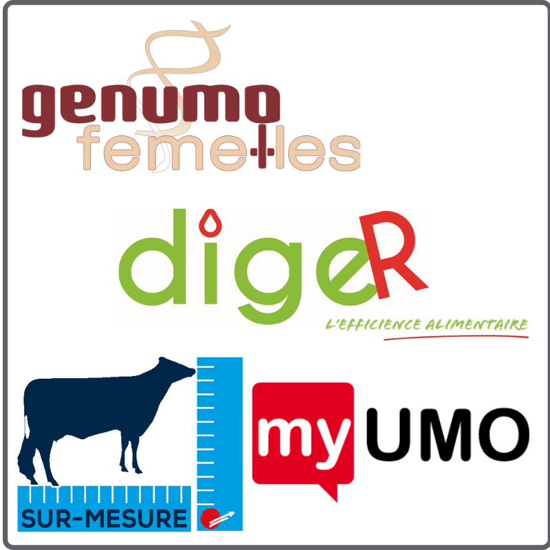 différents services proposés par Umotest, pointage, génotypage, indexs exclusifs, MyUmo